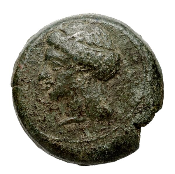 Adranum Puglisi 2009 4, аверс, bnf-iris