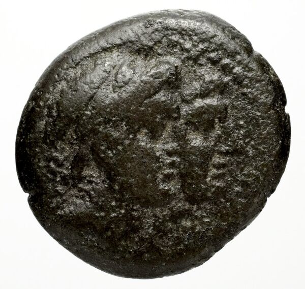 Ptolemais-Ake Kadman 1961 11-44, аверс, BnF (IRIS)