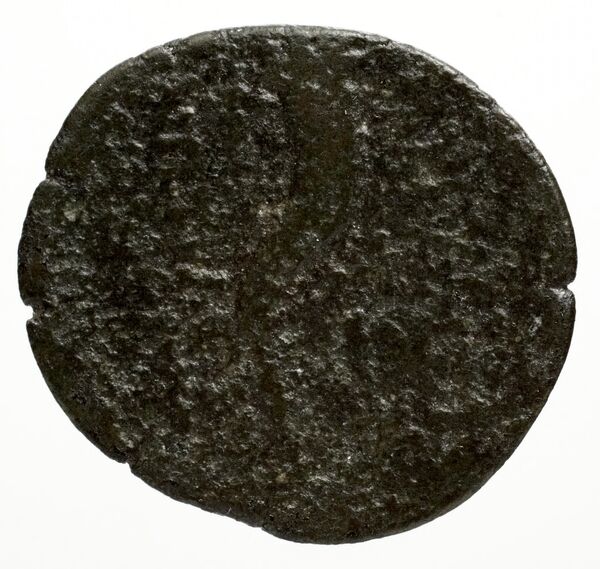 Ptolemais-Ake Kadman 1961 11-44, реверс, BnF (IRIS)