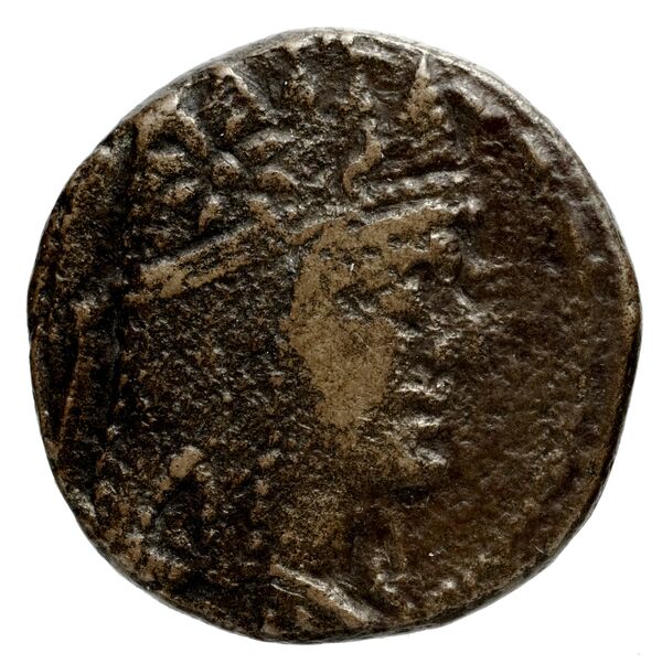 Tigranes the Younger of Sophene Damascus Kovacs 2016 137 and 140, аверс, BnF (IRIS)