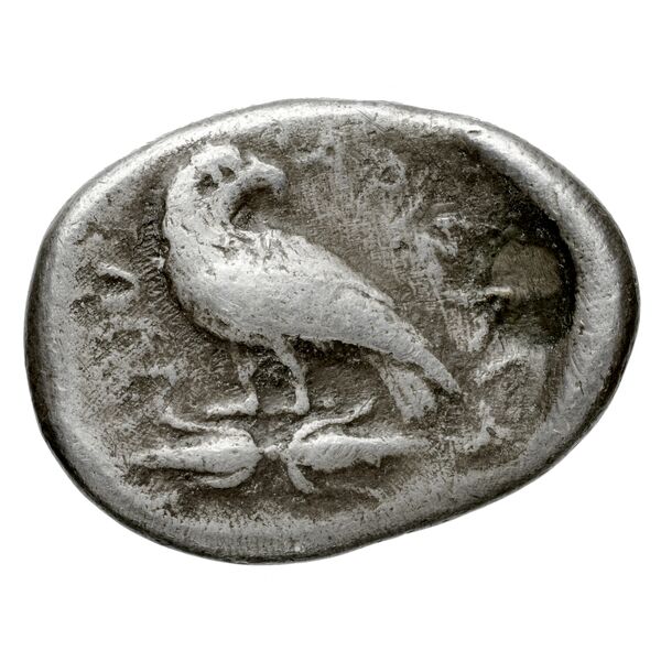 реверс Larissa, Thessaly Herrmann 1925 VIII