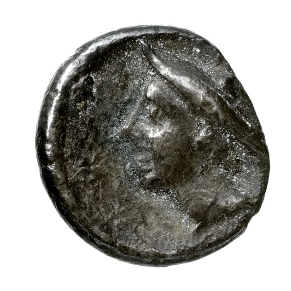 реверс Cilicia SNG Levante 222