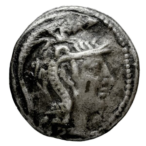 Xenokles Athens Thompson 1961 1014bis, 1016-1031, аверс, BnF (IRIS)