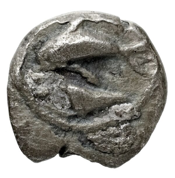 Tyre Elayi 2009 III.1.2.a-b, аверс, bnf-iris