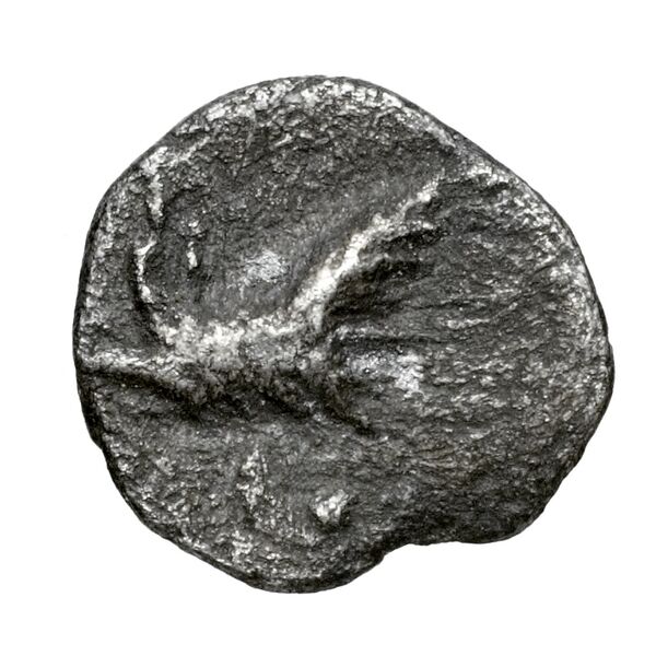 Cilicia SNG Levante 227, реверс, bnf-iris