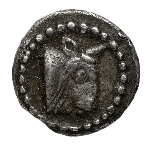 аверс Acanthus Tselekas 1996 Period A, TR1-3; B, TR5-7