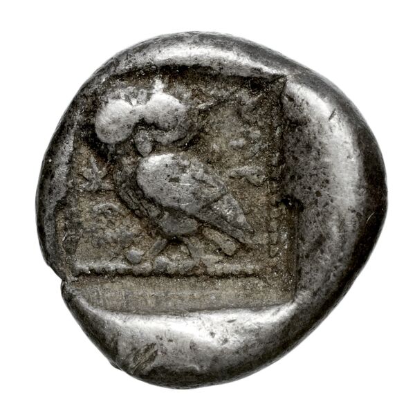 Kheriga Phellus Mørkholm and Zahle 1976 9-16, реверс, bnf-iris