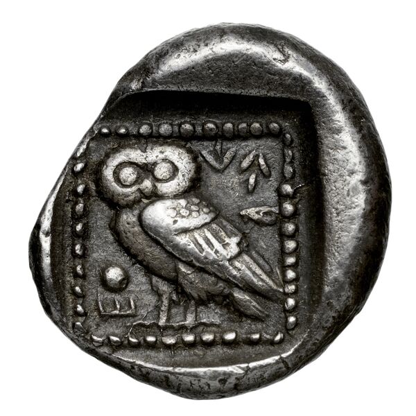 Kheriga Phellus Mørkholm and Zahle 1976 9-16, реверс, bnf-iris