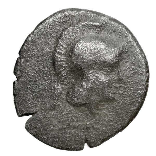 Patara Hoff 2017 M296-7, аверс, bnf-iris