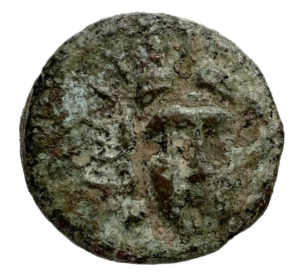 Telmessus Tek 2006 2, аверс, bnf-iris