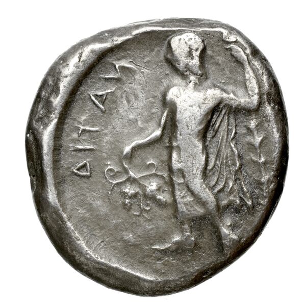 реверс Nagidus Lederer 1932 Group VIII