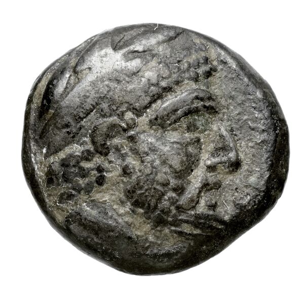 Aradus Elayi 2015 Pl. xiv, c17-20, аверс, bnf-iris