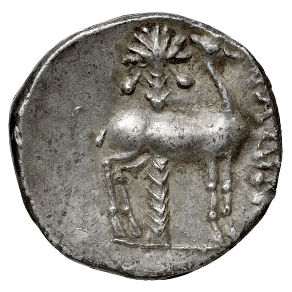 Aradus Duyrat 2005 2573-3009, реверс, bnf-iris