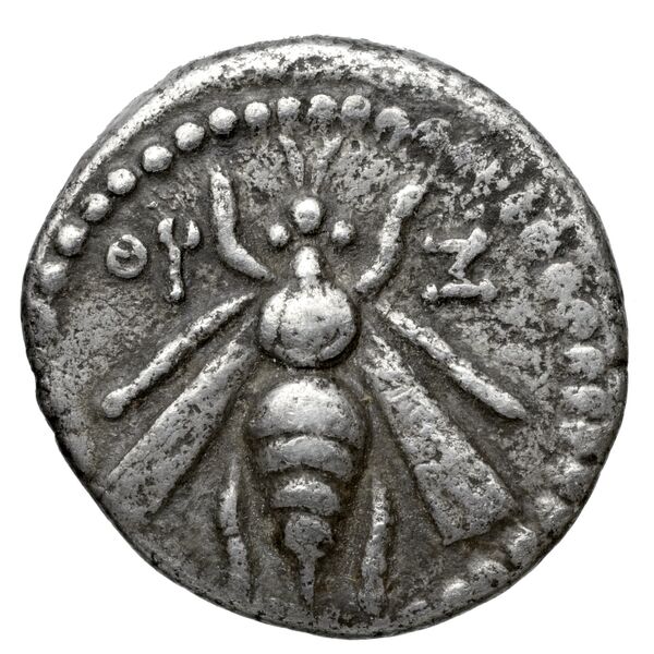 Aradus Duyrat 2005 2573-3009, аверс, bnf-iris