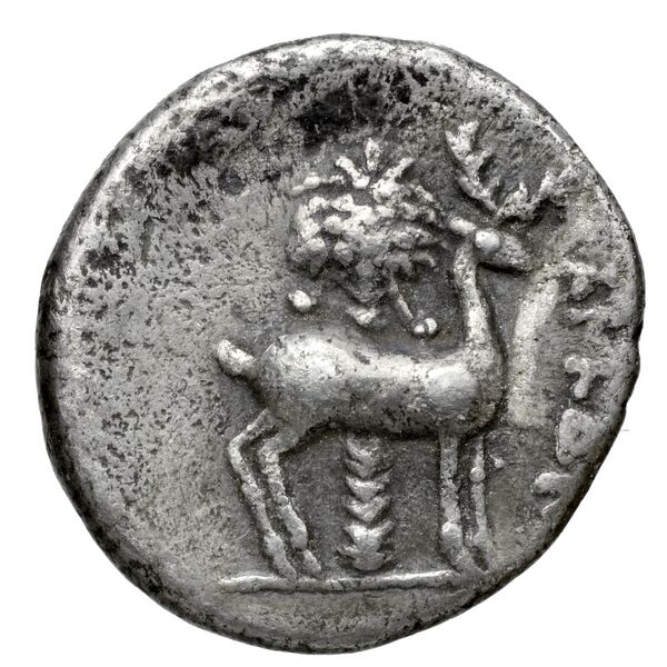 Aradus Duyrat 2005 2573-3009, реверс, bnf-iris