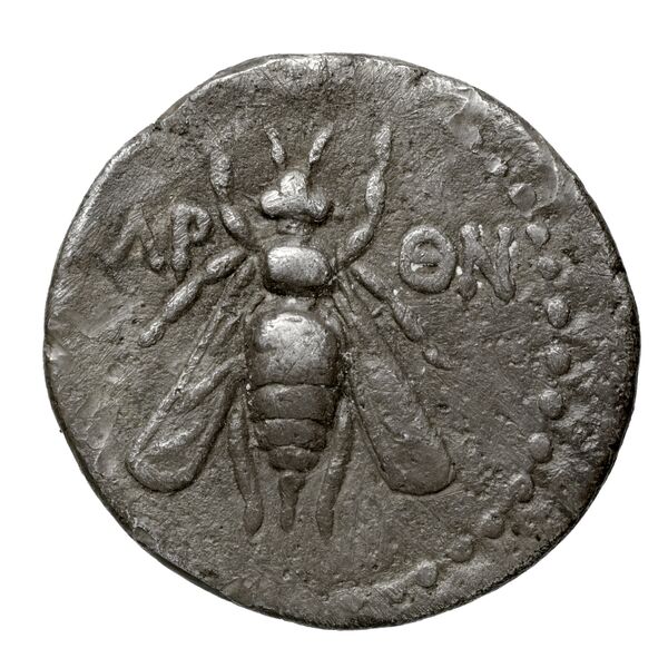 Aradus Duyrat 2005 2573-3009, аверс, bnf-iris