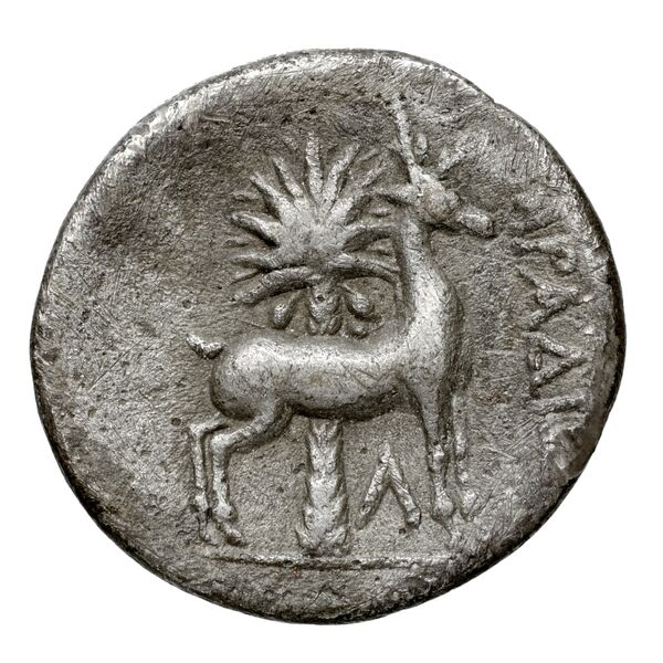 Aradus Duyrat 2005 2573-3009, реверс, bnf-iris