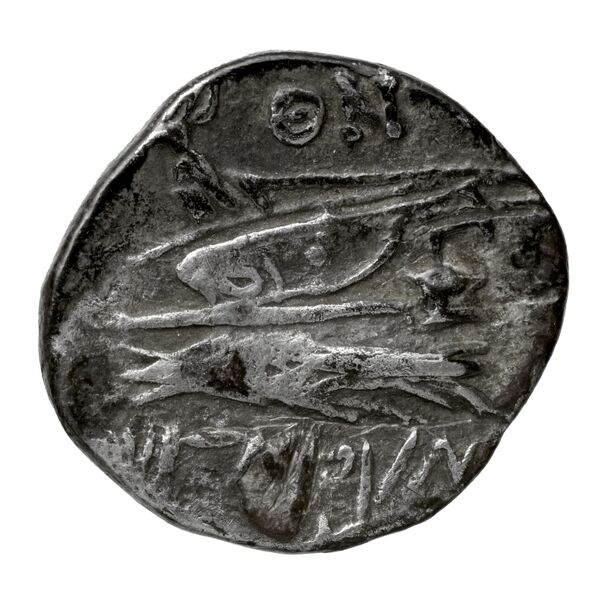 Aradus Duyrat 2005 1455-1557, реверс, bnf-iris