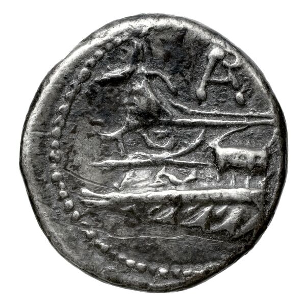 Aradus Duyrat 2005 1455-1557, реверс, bnf-iris