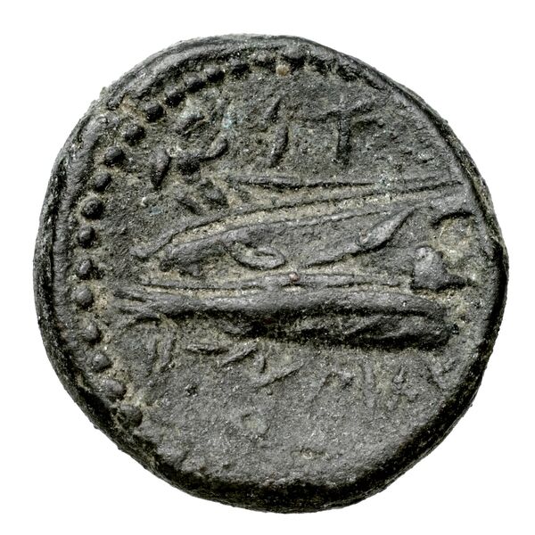 Aradus Duyrat 2005 4228-4381, реверс, bnf-iris