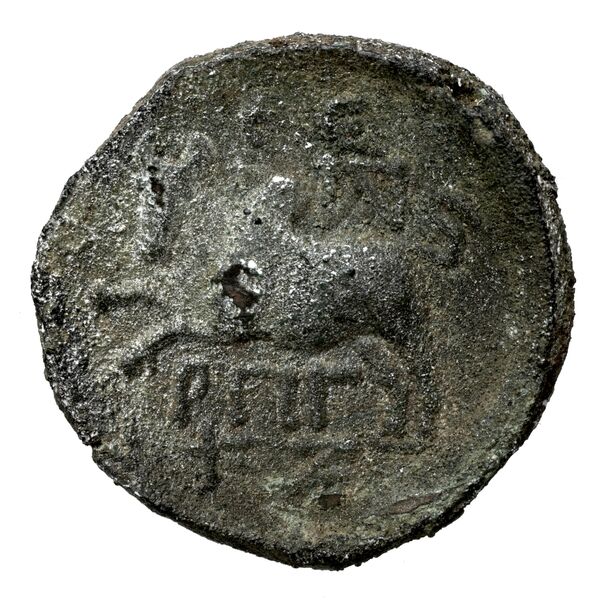 Aradus Duyrat 2005 4422-4602, реверс, bnf-iris