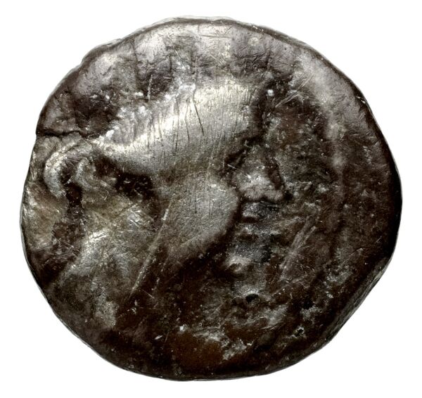 Aradus Duyrat 2005 1558-1628, аверс, bnf-iris