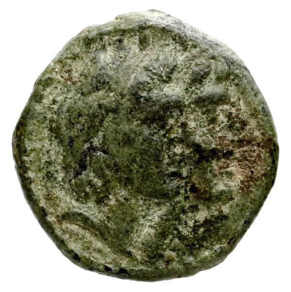 Ptolemais-Ake Kadman 1961 11-44, аверс, BnF (IRIS)