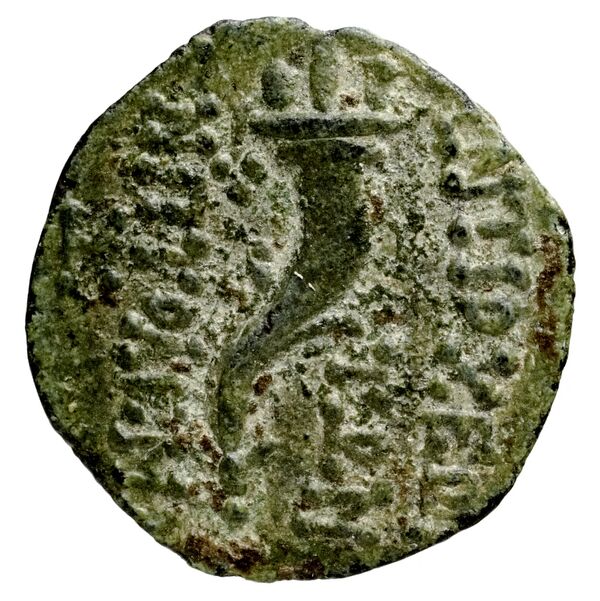 Ptolemais-Ake Kadman 1961 11-44, реверс, BnF (IRIS)