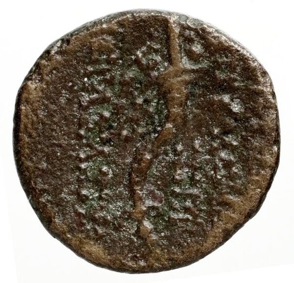 Ptolemais-Ake Kadman 1961 11-44, реверс, BnF (IRIS)