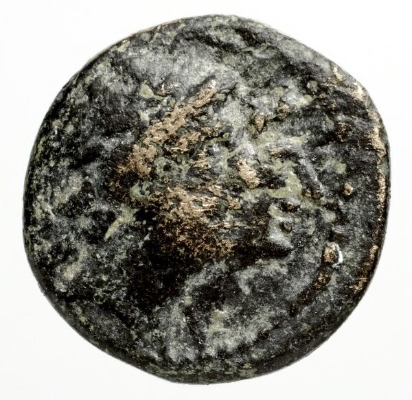 Ptolemais-Ake Kadman 1961 11-44, аверс, BnF (IRIS)