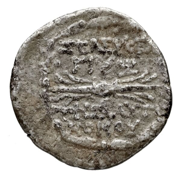 Seleuceia Pieria Paris 1973.1.262, реверс, bnf-iris