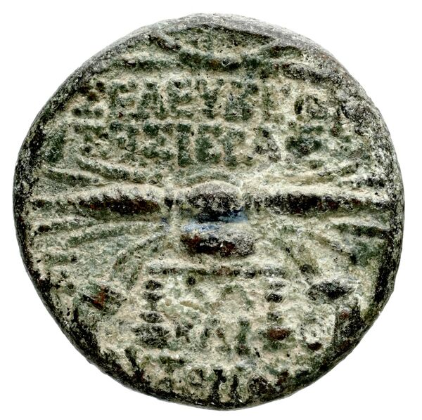 Seleuceia Pieria Butcher 2004 Autonomous coinage a, реверс, bnf-iris