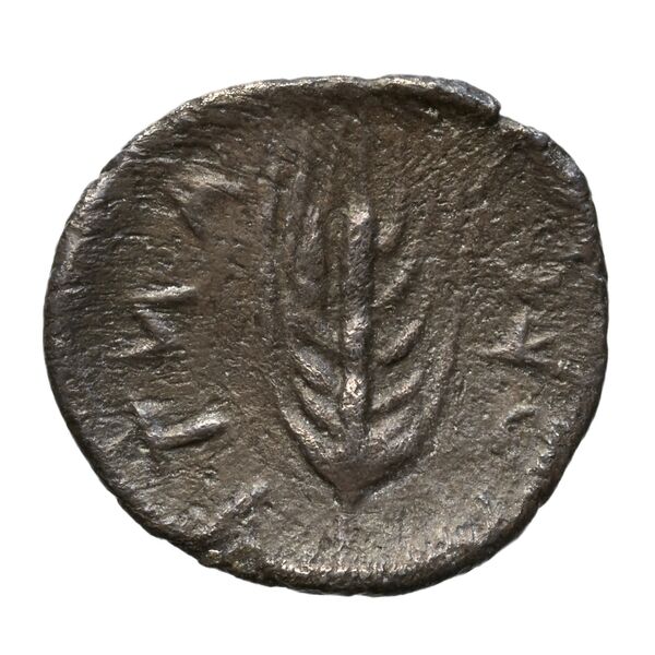 Morgantina Erim 1989 issue1, реверс, BnF (IRIS)