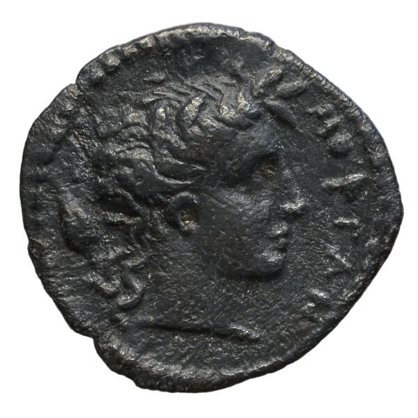 Morgantina Erim 1989 issue4, аверс, BnF (IRIS)