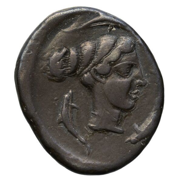 Motya Campana 1999 group I 1, аверс, BnF (IRIS)