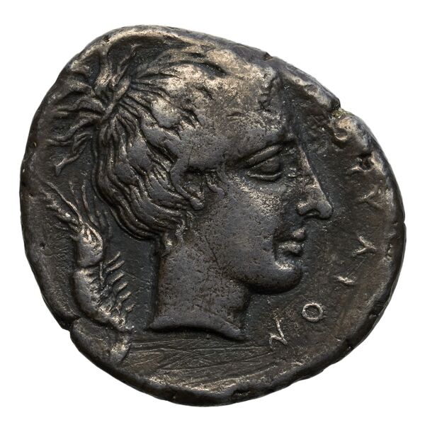 Motya Campana 1999 group III 6, аверс, BnF (IRIS)