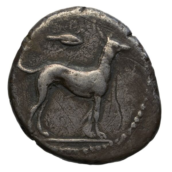 Motya Campana 1999 group III 6, реверс, BnF (IRIS)