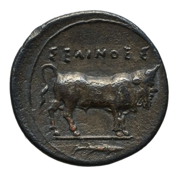 Selinus SNG ANS 711-712, реверс, bnf-iris