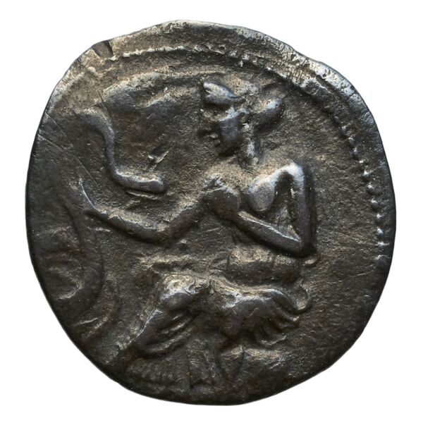 Selinus SNG ANS 711-712, аверс, bnf-iris
