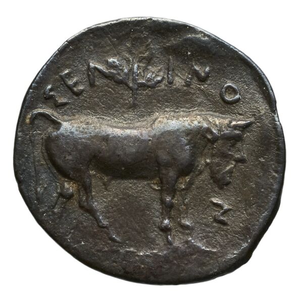 Selinus SNG ANS 711-712, реверс, bnf-iris