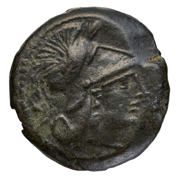аверс Capua Historia Numorum Italy 491