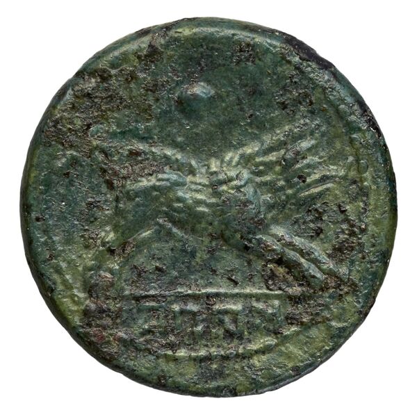 Capua Historia Numorum Italy 492, реверс, bnf-iris