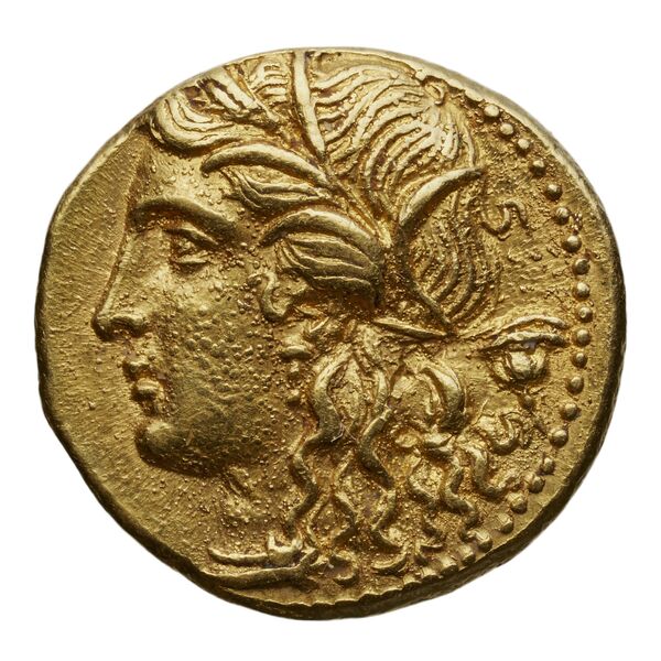 аверс Hieron II Syracuse Carroccio 1994 16-58