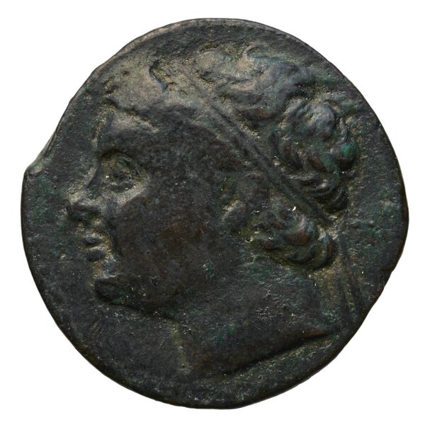 Hieronymus of Syracuse Syracuse Puglisi 2009 346, аверс, BnF (IRIS)