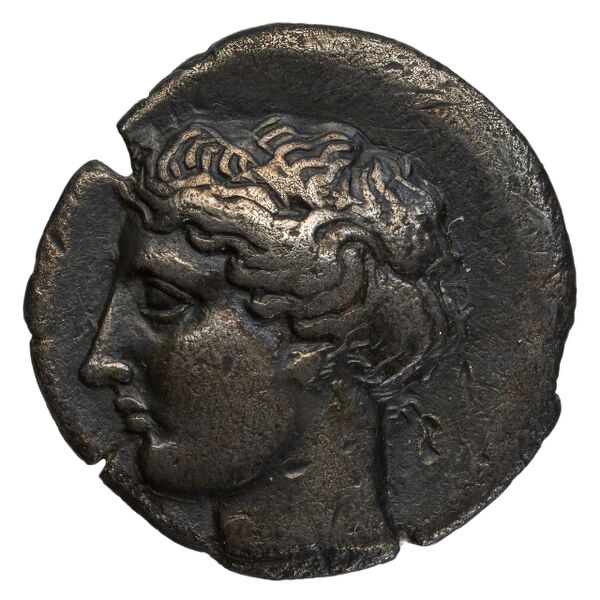 Cumae Historia Numorum Italy 532, аверс, BnF (IRIS)