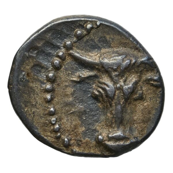 Tauromenium SNG ANS 1124, аверс, bnf-iris