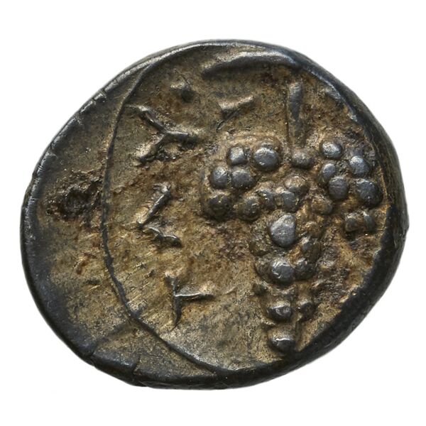 Tauromenium SNG ANS 1124, реверс, bnf-iris