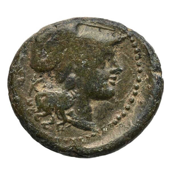 Tauromenium Puglisi 2009 388, аверс, bnf-iris
