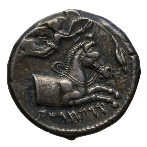 аверс Carthaginian Empire Carthage Jenkins 1974 Carthage series 1, 1-37