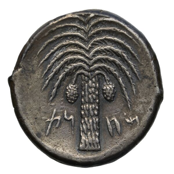 реверс Carthaginian Empire Carthage Jenkins 1974 Carthage series 1, 1-37